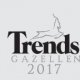 Trends Gazelles 2017 : Pan-All within the 200 fastest growing companies 